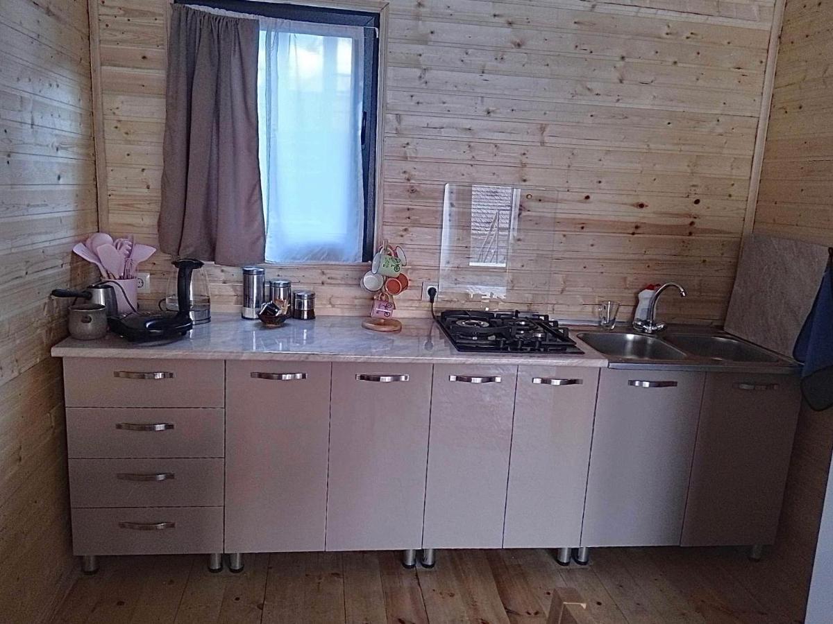Twin Cottages Kazbegi Bagian luar foto
